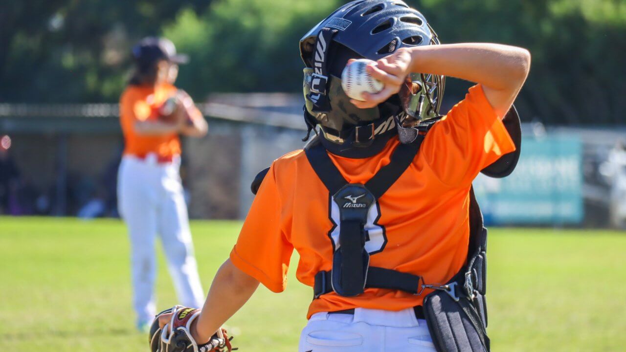 Home Baseball Queensland