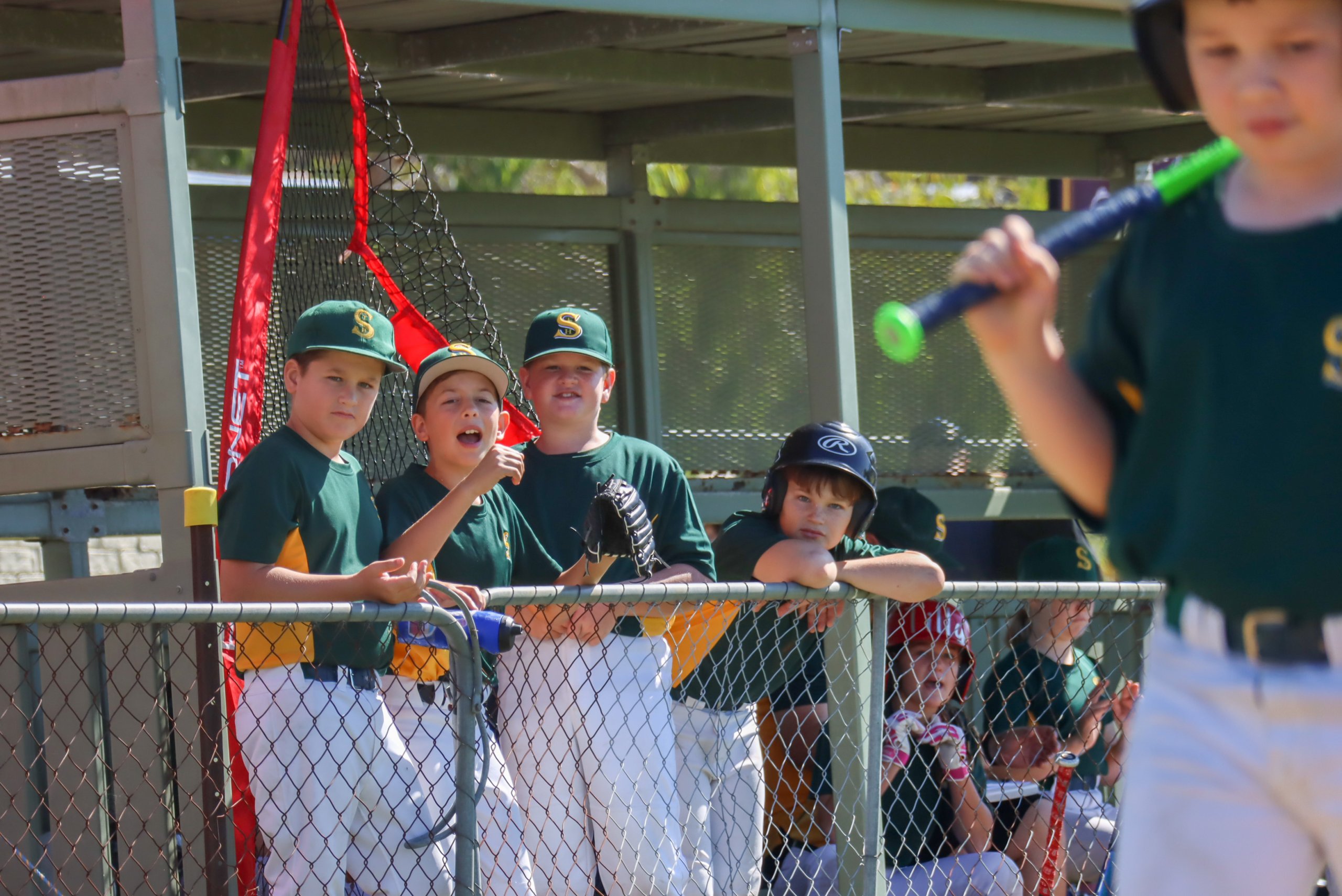 LLD3&JL251 Baseball Queensland